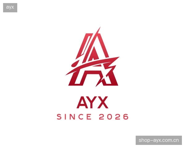 关于ayx公司